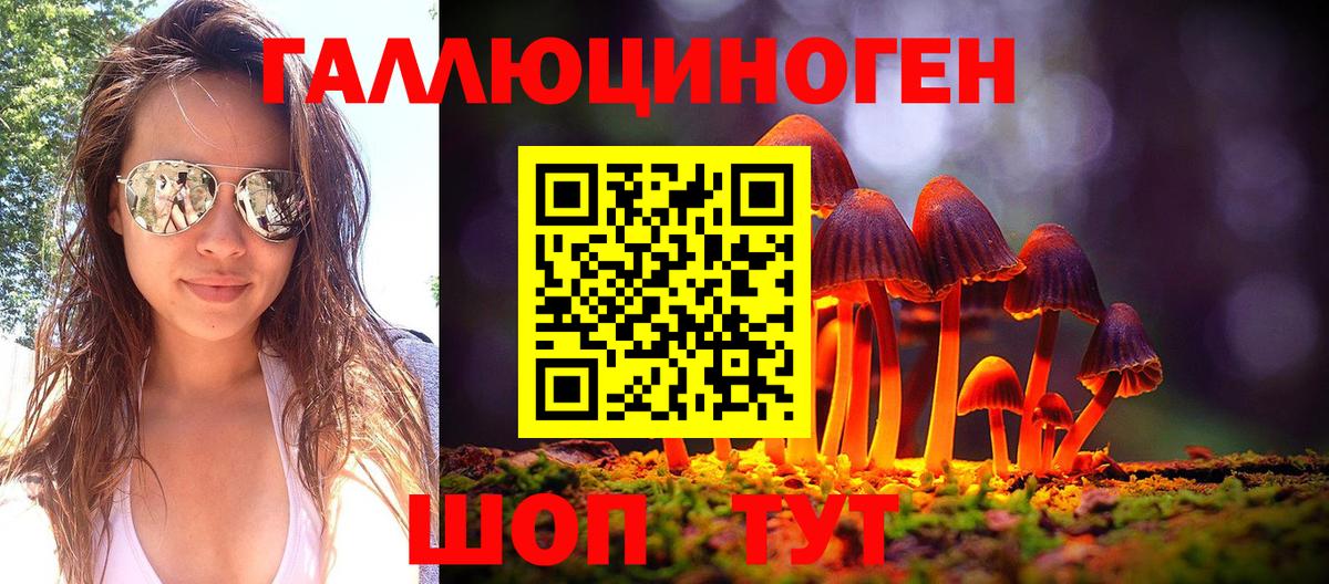 Корсаков  Псилоцибиновые грибы мухоморы  Вход с VPN 