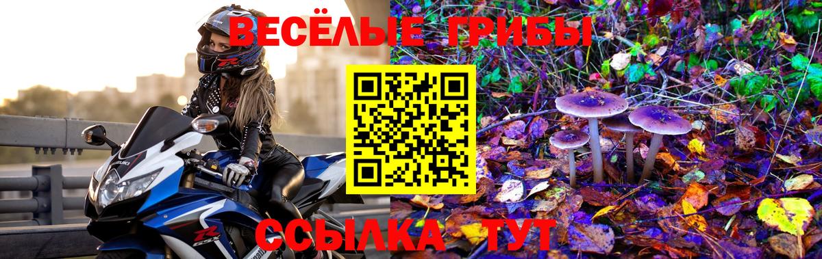 Галлюциногенные грибы Psilocybine cubensis Корсаков